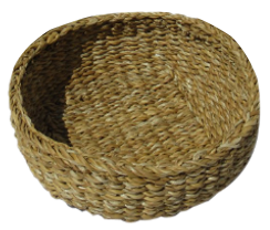 Seagrass Items